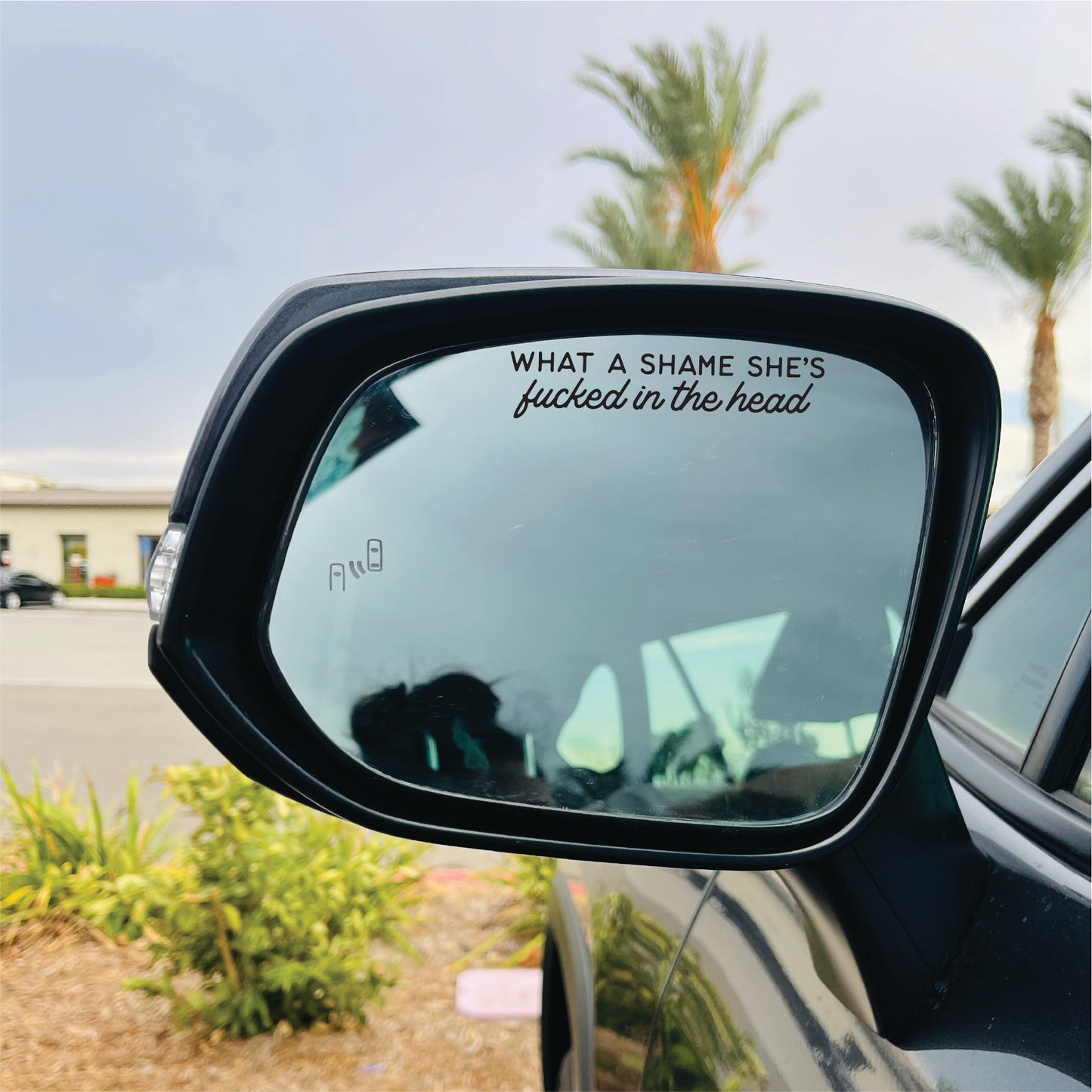 What A Shame She's F*cked In The Head Mirror Cling | Taylor Window Cling | Champaign Decal | Evermore Mirror Cling