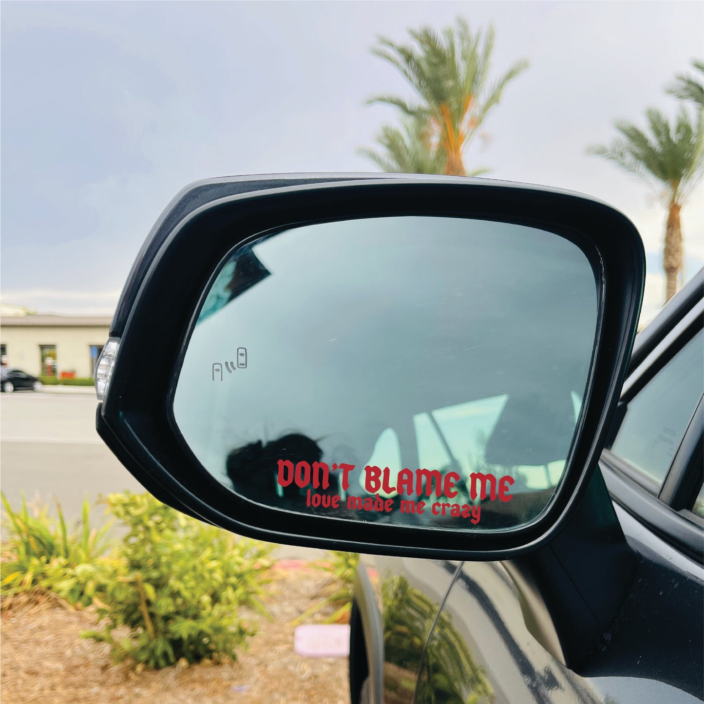 Don't Blame Me Mirror Cling | Taylor Window Cling | Rep Sticker