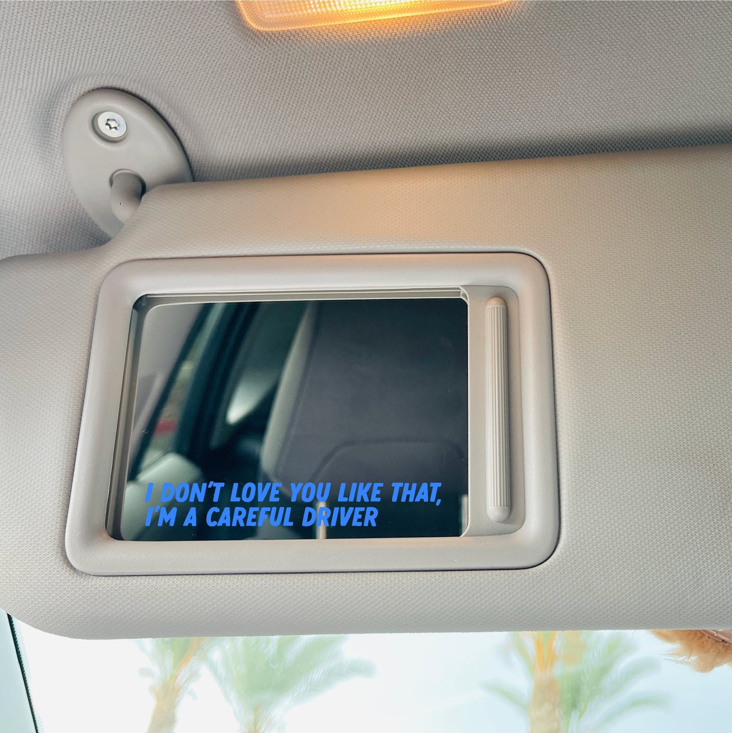 Reckless Driver Mirror Cling Duo | Window Cling | Decal | Lizzy McAlpine Mirror Clings