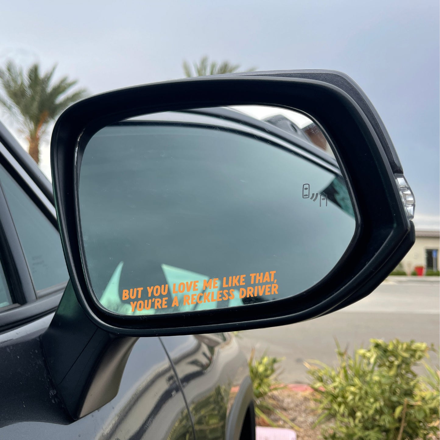 Reckless Driver Mirror Cling Duo | Window Cling | Decal | Lizzy McAlpine Mirror Clings