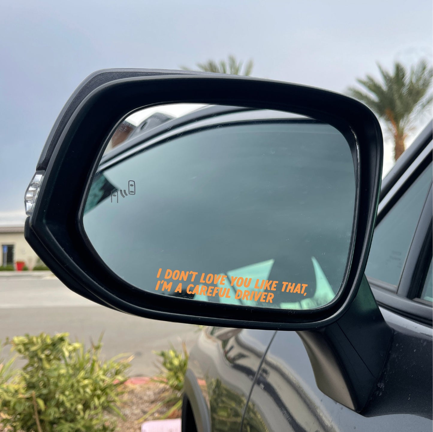 Reckless Driver Mirror Cling Duo | Window Cling | Decal | Lizzy McAlpine Mirror Clings